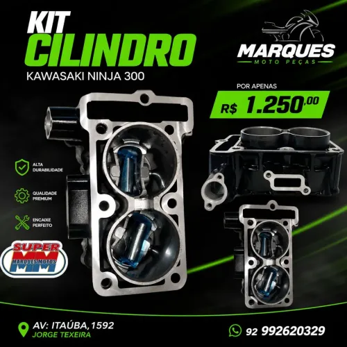 Kit cilindro ninja 300