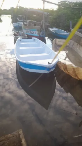 Barco de Fibra