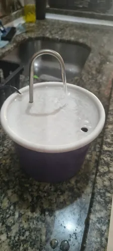 Bebedouro de gato
