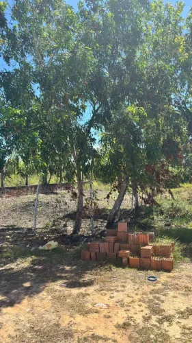 Vendo terreno em Marechal Deodoro 