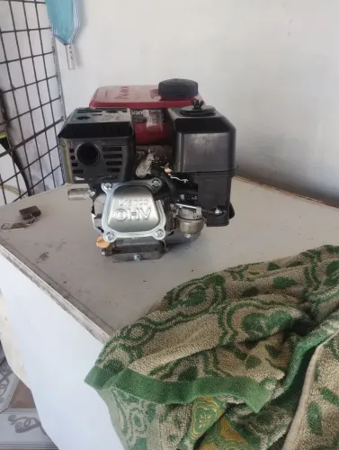 Vendo ou troco motor da marca branco 7.0hp gasolina 