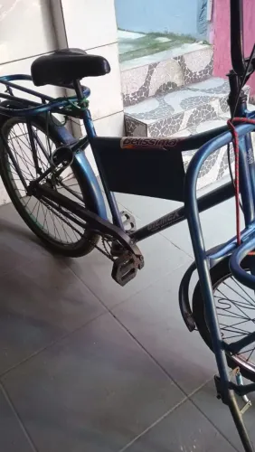 Bicicleta de carga 