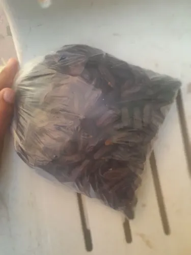 Vende-se cumaru 1,5 kg R$95