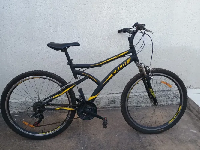 Bicicleta