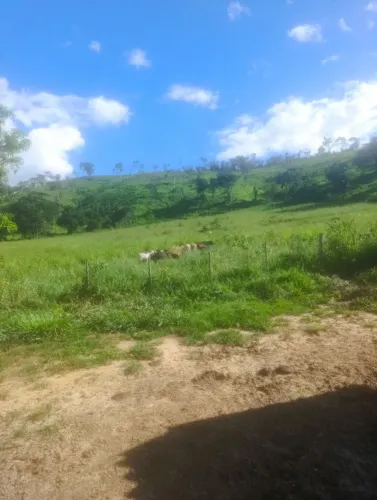 Ótima oportunidade! Terreno Rural em Dom Joaquim!! 39,98 hectares.