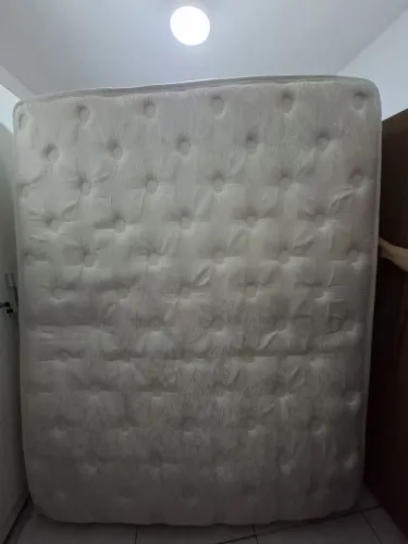 Colchão Queen Castor Pocket Super Luxo GoldStar