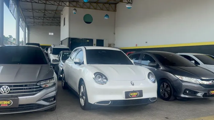 GWM Ora 03 Skin (elétrico) 2024