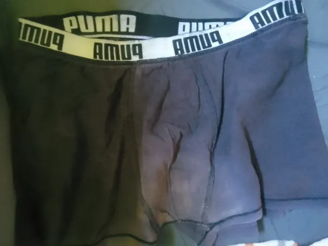 Cueca preta puma G