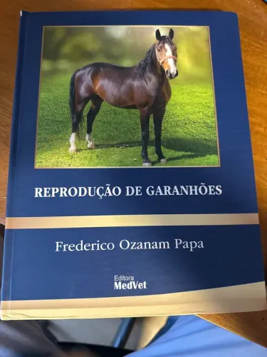 Reprodução de Garanhões - Frederico Ozanam Papa