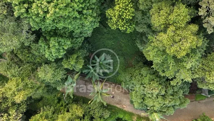 Oportunidade no Jardim Botânico