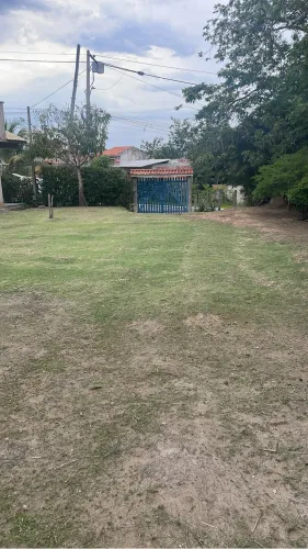 Jardineiro Profissional - Poda, Roçagem e Limpeza Completa