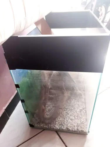 Aquário