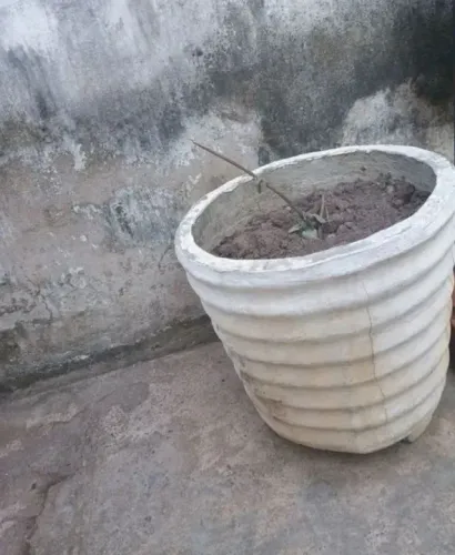 1 Jarro tamanho 50 por 50 - Bairro Saci