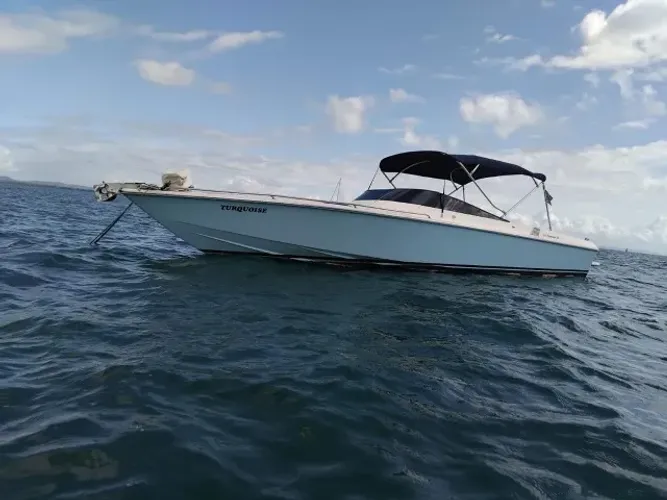 LANCHA PANTHER 33 - TURQUOISE - 1993
