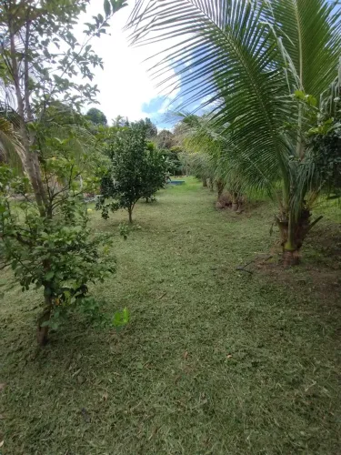 Sítio em paudalho 