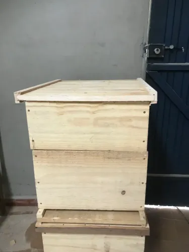 Caixas de abelha