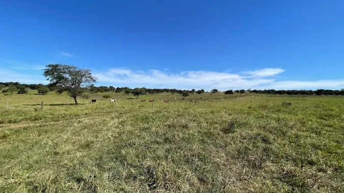FAZENDA À VENDA  INOCÊNCIA/MS