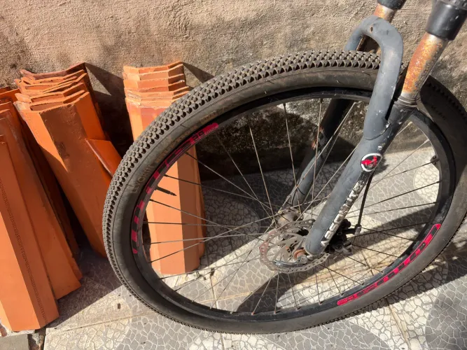 Bicicleta