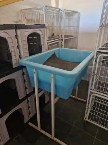 Canil e mesa de tosa usados