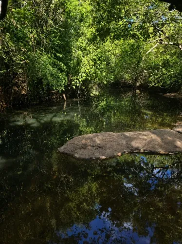 Chácara em Lajeado na beira do corrego -  Há 700 metros da TO 