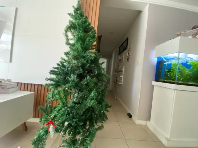 Árvore de Natal