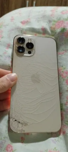 celular iphone 12 Pro Max