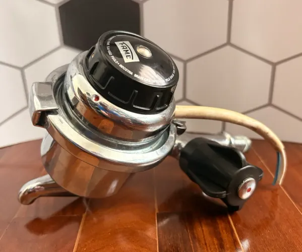 Torneira Elétrica Fame Antiga 2500W