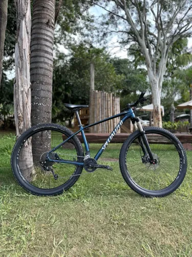 Specialized Rockhopper Aro 29