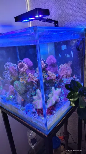Aquário marinho 120 litros