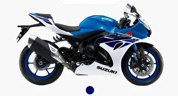 SUZUKI GSX-R 1000RAZ