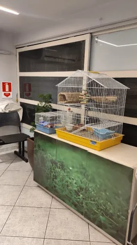 Hotelzinho para roedores - Chinchila, Hamster e outros