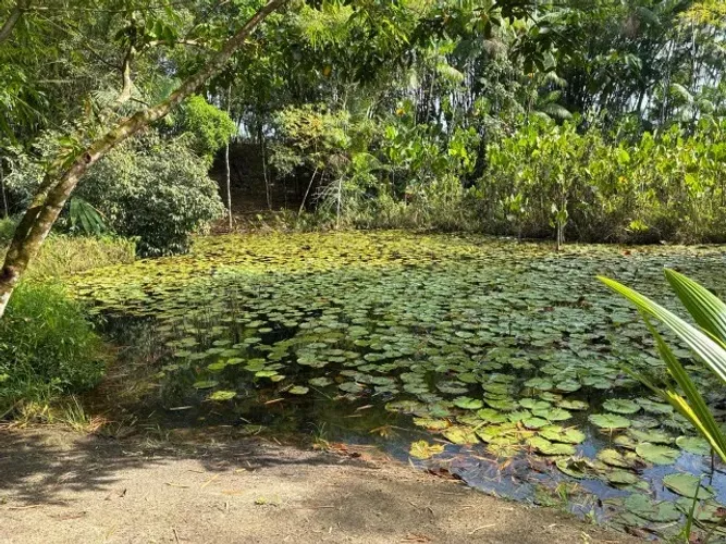 125x500 sitio há 20 km de Castanhal com nascente R$390 mil reais