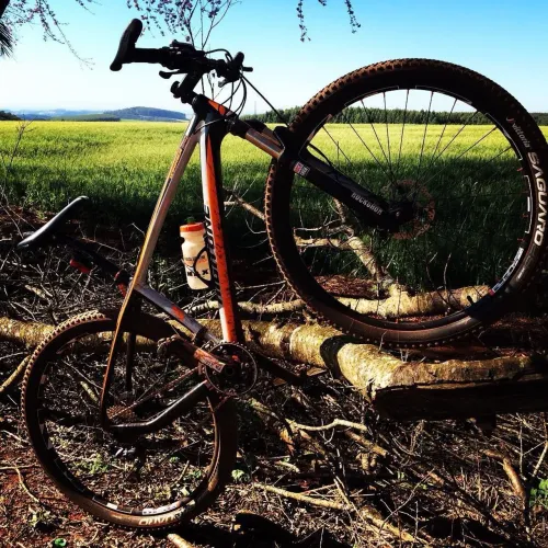 Venda de bicicleta de carbono