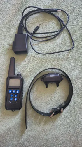Coleira eletrônica para adestramento de cães