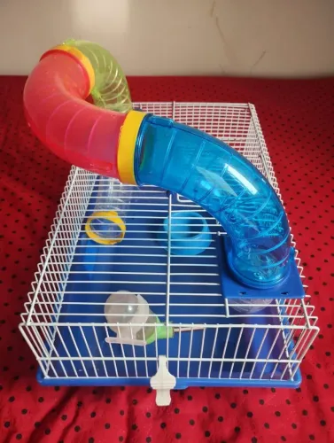 Vendo gaiola para ramister,  completa com assessórios. 