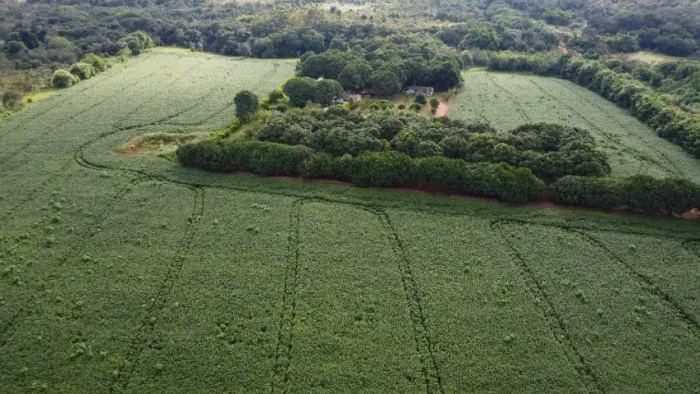 EXCELENTE CHÁCARA À VENDA EM BRAZLÂNDIA, Área total de 18,2hec