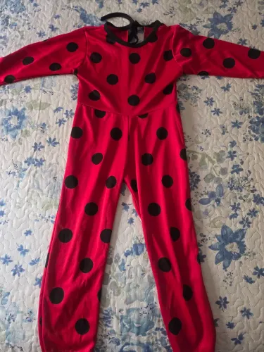 Fantasia menina ladybug e mirabel