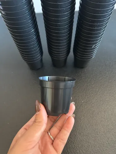 75 vasos para plantar/ pote 6