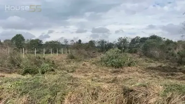 Terreno Exclusivo à Venda São José dos Pinhais