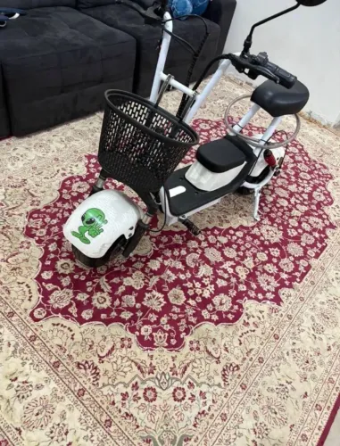 Scooter Eletrica Smart wheel 1000w 2024