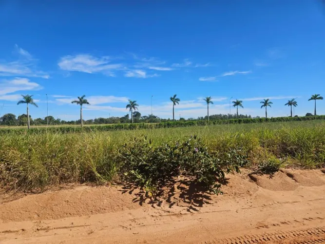 Terreno em Condomínio para Venda em Águas de Santa Bárbara, Thermas de Santa Barbara