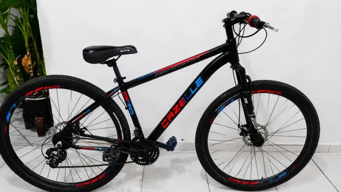 Bicicleta aro 29