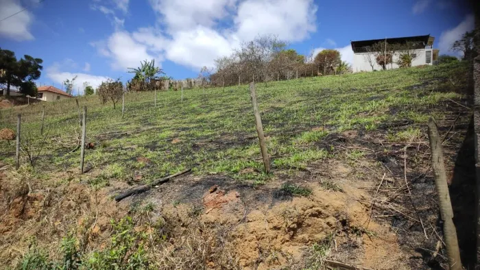 Granja terreno vendo