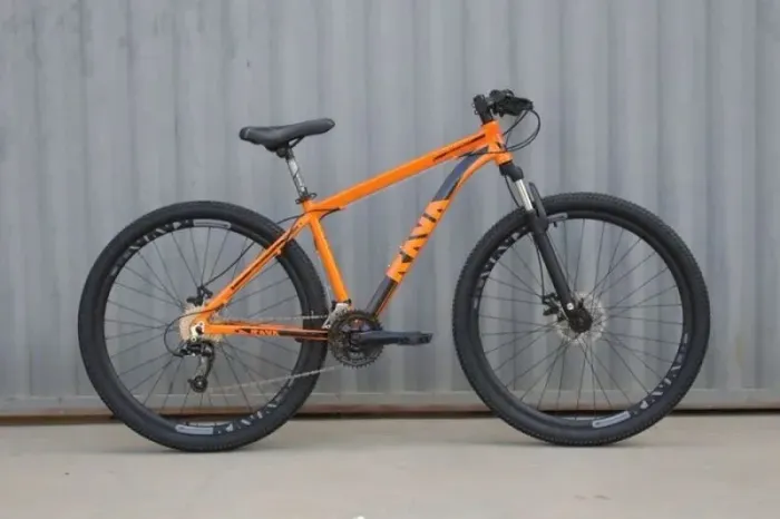 Bicicleta Aro 29