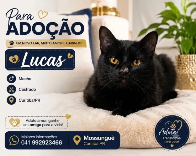 Doação responsável