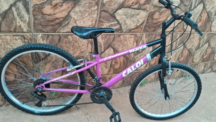 Bicicleta Aro 24 infantojuvenil (Entrego)