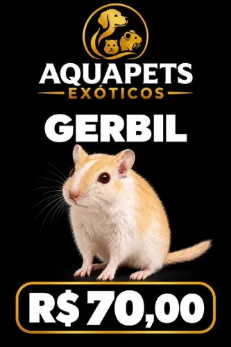 Esquilos da Mongólia