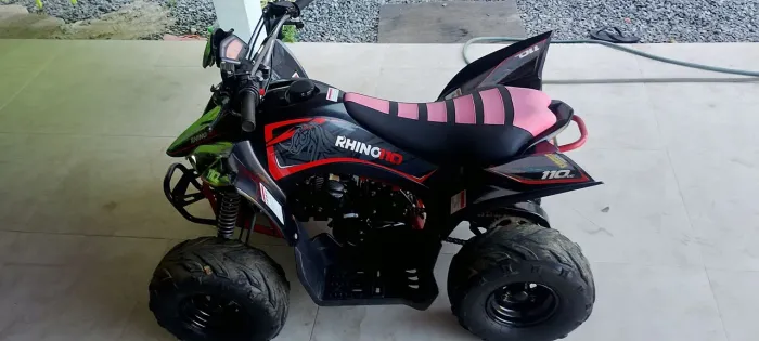 Quadriciclo Rhino 110