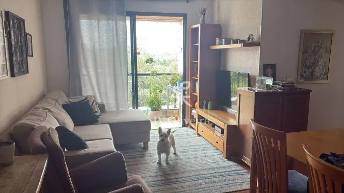 Apartamento com 3 dormitórios à venda, 75 m² por R$ 850.000,00 - Jardim Peri Peri - São Pa