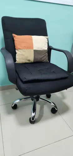 Cadeira de Escritório com Regulagem de Altura + Almofadas